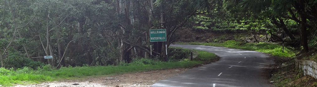 Waterfalls_Tea_Estate_Area